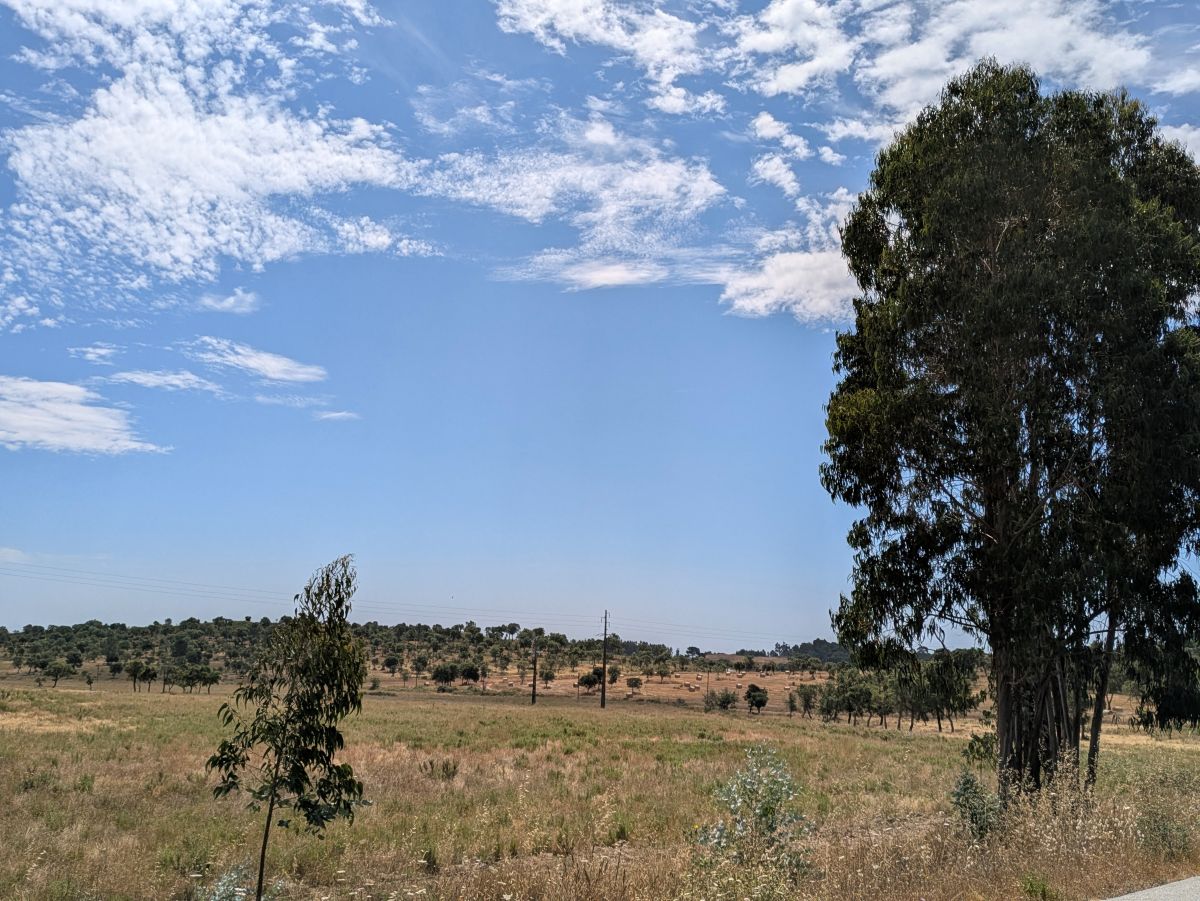 04-auf dem Weg nach Süden